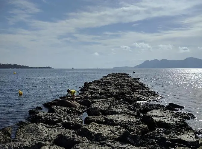 Cosy With Pool Ideal For Family & Sports Near In Port De